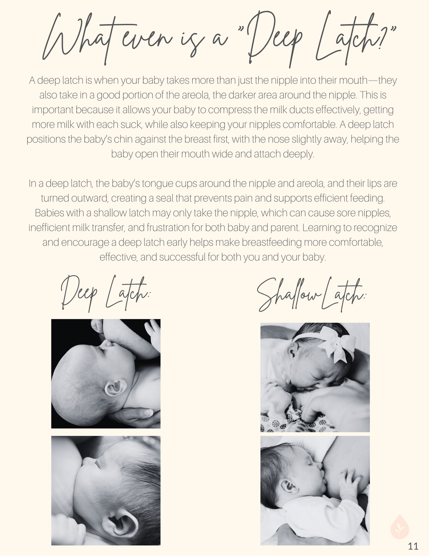 Digital Download: Your Guide to the Feeding Basics