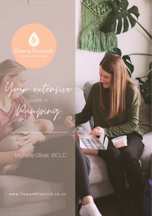 Downloadable Guide: Your Extensive Guide to Pumping